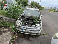 Picture of Baptiste_svgt