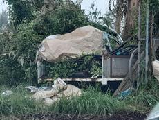 Picture of aulet