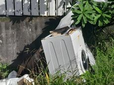Picture of aulet