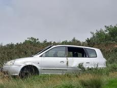 Picture of aulet