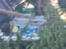 Picture of aulet