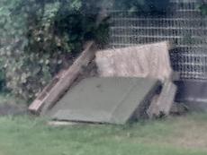 Picture of aulet