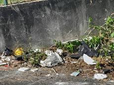 Picture of aulet