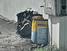 Picture of aulet