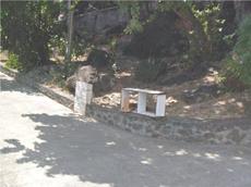 Picture of Ti Tang'