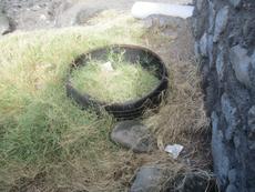 Picture of Ti Tang'