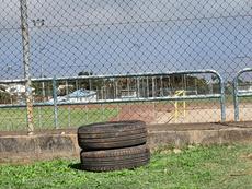 Picture of aulet