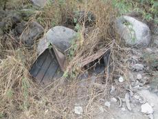 Picture of Ti Tang'