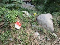 Picture of Ti Tang'