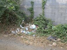 Picture of Ti Tang'
