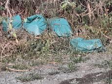 Picture of aulet
