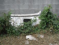 Picture of Ti Tang'
