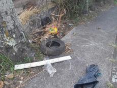 Picture of aulet