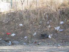 Picture of Ti Tang'