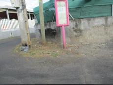 Picture of Ti Tang'