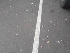 Picture of aulet