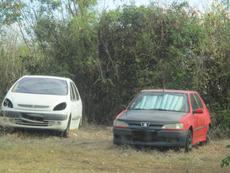 Picture of Ti Tang'