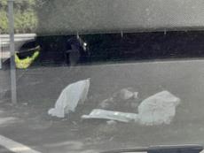 Picture of aulet