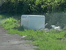 Picture of aulet