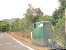 Picture of Ti Tang'