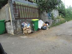Picture of Ti Tang'