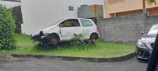 Picture of aulet