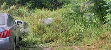 Picture of aulet