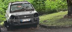 Picture of aulet