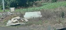 Picture of aulet