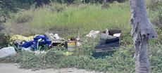 Picture of aulet