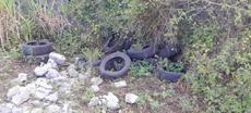 Picture of aulet