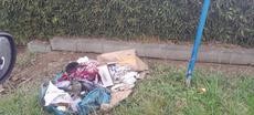 Picture of aulet