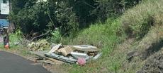 Picture of aulet