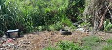 Picture of aulet