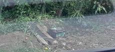 Picture of aulet