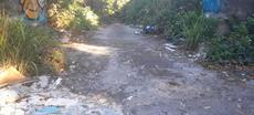 Picture of aulet