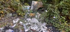 Picture of aulet
