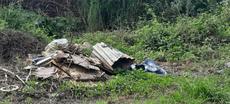 Picture of aulet