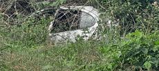 Picture of aulet