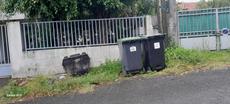 Picture of aulet