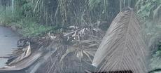 Picture of aulet