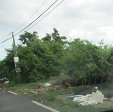 Picture of Ti Tang'