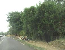Picture of Ti Tang'