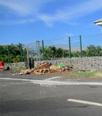 Picture of Ti Tang'