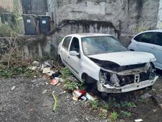 Picture of aulet