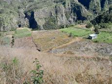 Picture of aulet