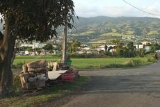 Picture of Ti Tang'