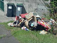 Picture of aulet