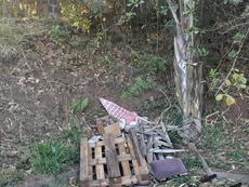 Picture of aulet