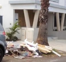 Picture of INVINCIBLE